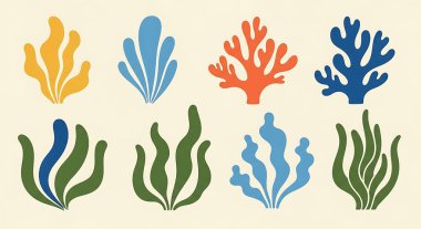 Deniz bitkileri seti