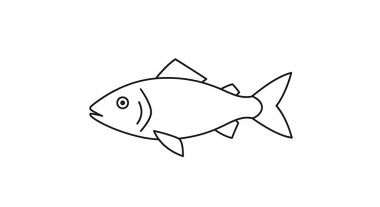 Balık ikonu. İnce çizgi simgesi tasarımı. vektör illüstrasyonu.