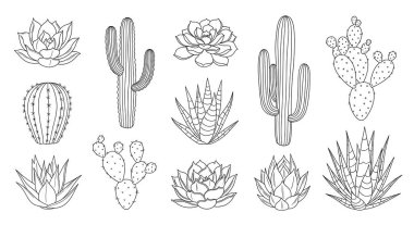 Kaktüs bitkileri seti