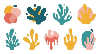 Düz çizilmiş vektör kaktüs, sulu ve kaktüs, kaktüs bitkileri. bitki ve çiçek koleksiyonu, sulu bitkiler ve yapraklar.