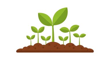 Bitkili yeşil bir bitkinin vektör çizimi