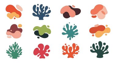 Deniz kabukları ve mercan