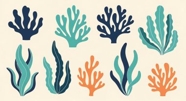 Bir dizi deniz elementi..