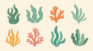 Bir dizi deniz yaratığı. vektör illüstrasyonu.