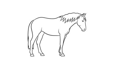 at vektör çizim şablonu