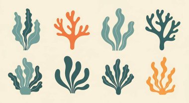 Deniz hayat öğeleri kümesi