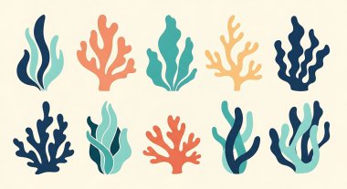 Mercan resifleri ve deniz bitkileri.