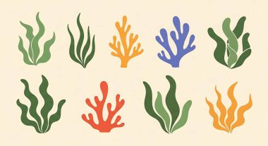 Deniz bitkileri seti, vektör çizimleri