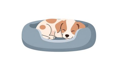 Köpek yatakta uyuyor.