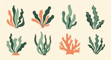 Vektör içinde tropikal bitkiler kümesi