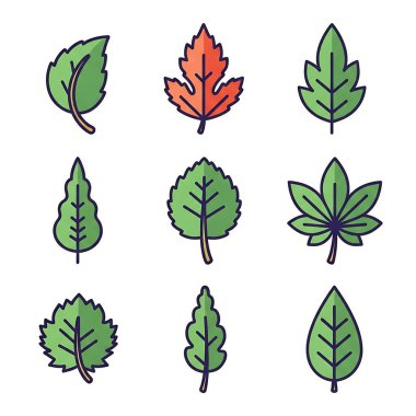 Yaprak vektör illüstrasyon dizaynı
