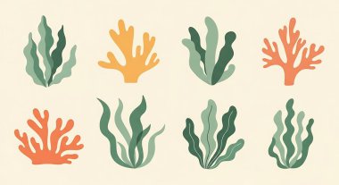 Deniz mercanı kümesi, vektör, 10 birim.