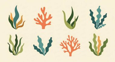 deniz yosunu, deniz yosunu, yosun, yosun, deniz yosunu, deniz yosunu, yosun, deniz yosunu.