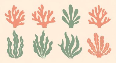 bir dizi mercan bitkisi