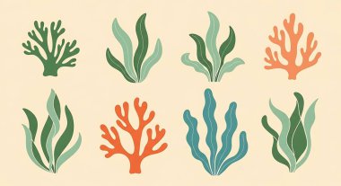 Deniz bitkileri seti