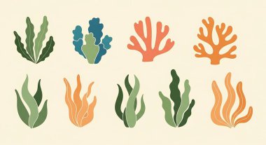 Deniz bitkileri ve yosun seti