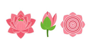 dört çiçek kümesi