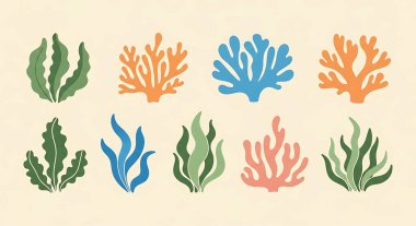 Mercan mercan mercanı. Deniz mercanı. Deniz. Deniz altı mercanı. deniz mercanı