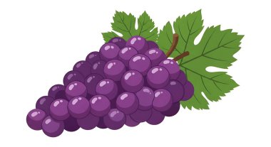 beyaz zemin üzerine taze üzüm