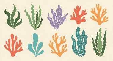 El yapımı deniz bitkileri.