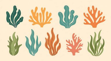 tropikal balıklar, vektör çizim seti.