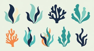 Bir dizi deniz bitkisi. Deniz bitkileri, mercan ve deniz bitkilerinin vektör çizimi