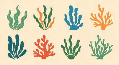 Bir dizi deniz bitkisi. deniz bitkileri.