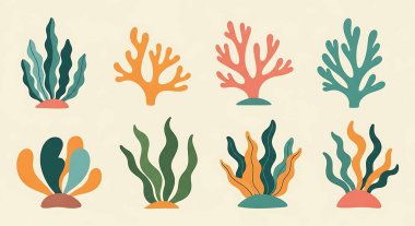 Mercan resifi tropikal bitkileri seti. Mercan mercanlarının vektör çizimi.