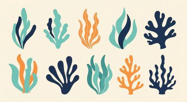 Bir dizi mercan deniz hayvanı vektör çizimi. Mercan, deniz yaşamı..