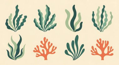 Deniz yosunları, deniz bitkileri, deniz bitkileri.