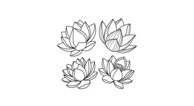 Beyaz arka planda izole edilmiş nilüfer çiçeği seti. vektör illüstrasyonu