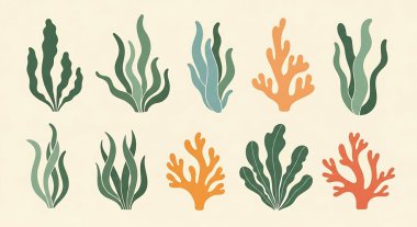 El yapımı deniz bitkileri. deniz bitkileri.