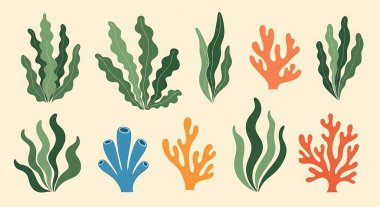 Tropikal yaprak seti. vektör çizimleri