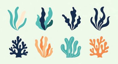 Mercan resif bitkileri. Deniz bitkileri. deniz hayvanları.