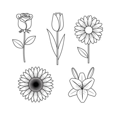 Doğa ve çiçek ikonunun vektör tasarımı. Ağ için doğa ve botanik stok sembolü.