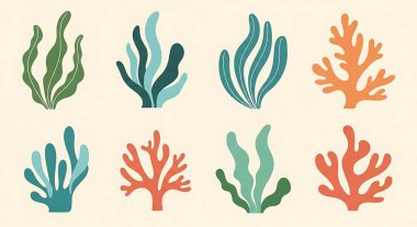 Deniz bitkileri hazır. Deniz bitkileri, yosunlar, deniz bitkileri.