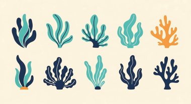 vektör deniz yaşam elementlerini ayarla. Deniz yaşamı koleksiyonu. Deniz altı deniz yaşamı, deniz yaşamı. Sualtı dünyası okyanus yaşamı. Su altı deniz yaşamı. deniz