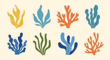 Deniz hayvanları ve tropikal bitkiler