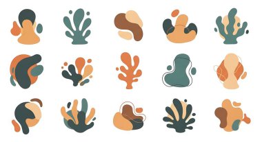 Tropikal yaprak seti. Tropik bitkiler. vektör illüstrasyonu.