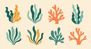 Mercan resif bitkileri. vektör illüstrasyonu