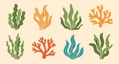 deniz bitkileri vektör illüstrasyonunu ayarlar