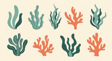 El yapımı vektör kümesi deniz yaşamı elementleri