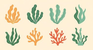 Deniz mercanı seti. vektör