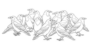 Sıraya dizilmiş kuşlar, elle çizilmiş vektör
