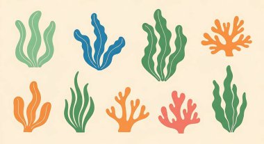 Bir dizi el yapımı deniz mercanı. vektör illüstrasyonu.