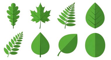 Beyaz arkaplanda yeşil yapraklar ayarlandı, vektör illüstrasyonu