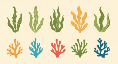 mercan kayalığı vektör çizim