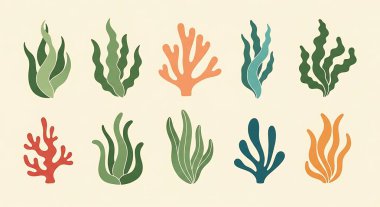 Tasarımınız için deniz elementlerinin vektör kümesi