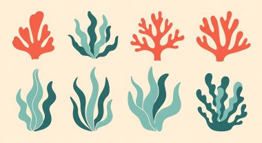 Mercan resiflerinin ve mercanların vektör kümesi.