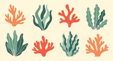 El çizimi deniz mercan vektör çizimi. Deniz mercan resifi, deniz yaşamı.